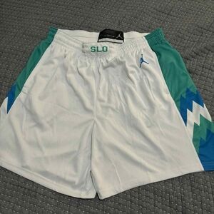 Jordan Swingman Slovenia Basketball Shorts, Size Adult 3XL